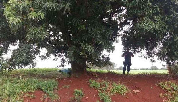 Osvaldo Duarte/ Dourados News