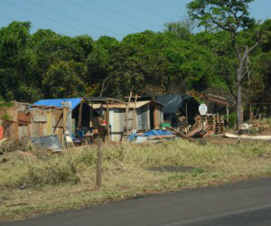 Ao todo, pelo menos 20 famílias ocupam trecho da rodovia BR-262 e se preparam 
(Foto: Bruno Henrique / Correio do Estado)