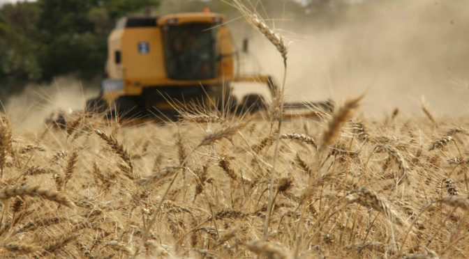 Ano inicia com nota fiscal do produtor em formato eletrônico para agricultores de MS