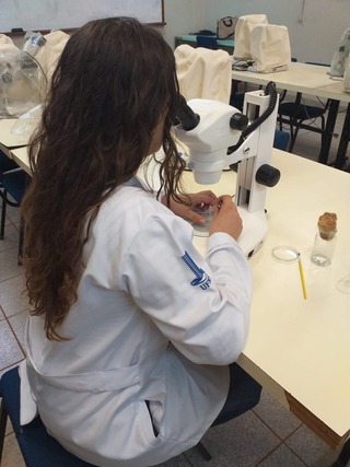 Experimento possibilita acadêmico a aprender na prática o que é ensinado em sala