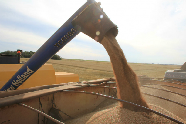 Nota deve ser acessada por meio do portal do ICMS Transparente/ Foto: Edemir Rodrigues