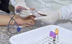 Especialistas se preocupam com desistência de doadores de medula em MS