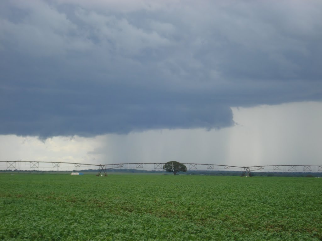 Aplicativo de previsão imediata do INPE pretende ajudar agricultores