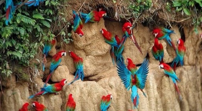 MS tem excelentes destinos para viagem no feriado Buraco das Araras - enorme cratera de arenito - no município de Jardim