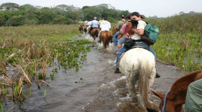MS tem excelentes destinos para viagem no feriado Cavalgada em época de cheia no Pantanal da Estrada-Parque, em Corumbá.Sílvio Andrade
