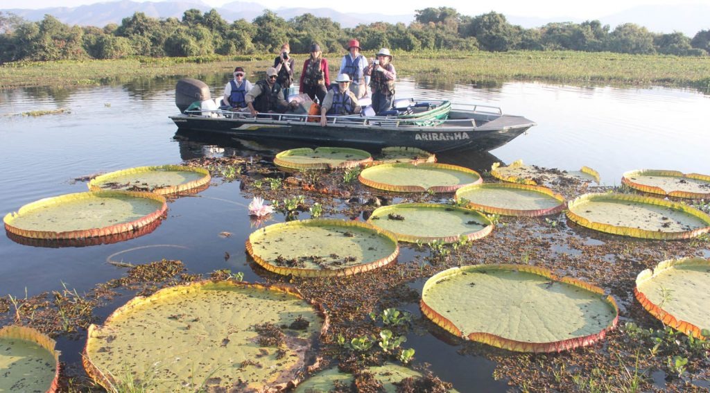 MS tem excelentes destinos para viagem no feriado O Pantanal possui imensa diversidade e riqueza podendo ser observadas na região da Serra do Amolar, no norte de Corumbá.