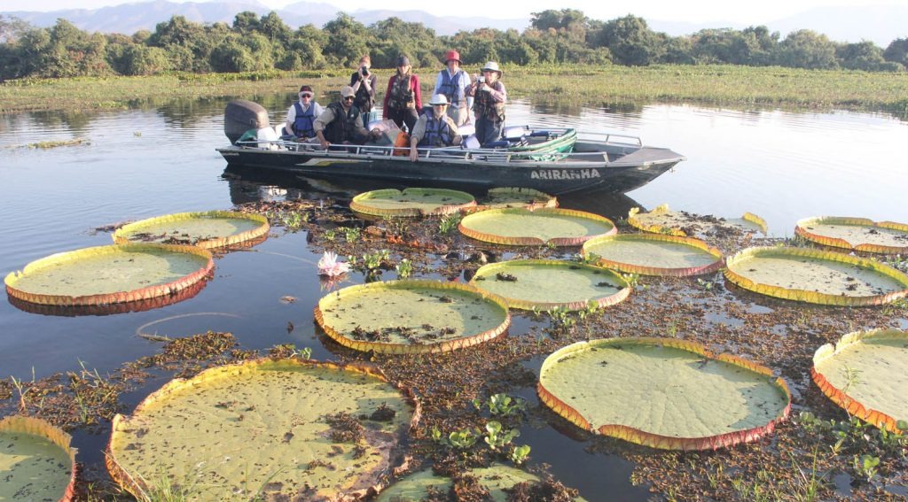 O Pantanal possui imensa diversidade e riqueza podendo ser observadas na região da Serra do Amolar, no norte de Corumbá.