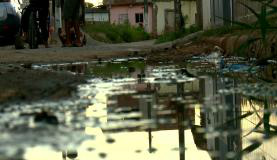 Confusão entre diagnósticos de dengue, zika e chikungunya preocupa Fiocruz Impedir o acúmulo de água de parada é a principal forma de combate ao Aedes aegyptiArquivo/Reprodução/TV Brasil