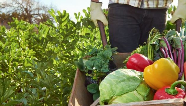 MS sedia Fórum Brasileiro de Agricultura Sustentável nesta segunda-feira MS sedia Fórum Brasileiro de Agricultura Sustentável nesta segunda-feira