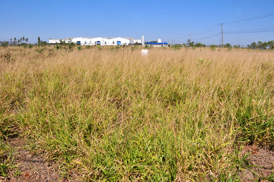 Empresas que receberam áreas e não executaram projetos estão na mira de ação da Sedesc - Foto: Valdenir Rezende / Correio do Estado