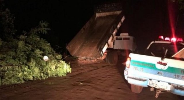 PMA multa homem em R$ 5 mil por jogar galhos de árvores em rua O homem foi flagrado pela polícia no momento em que depositava o lixo na rua (Foto: divulgação/PMA)