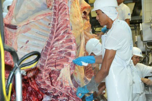Exportação de milho cresce 80%, mas venda de carne cai 40% em MS Exportação de carne bovina desossada e congelada caiu 39,2%, no semestre (Foto: Divulgação/Fiems)