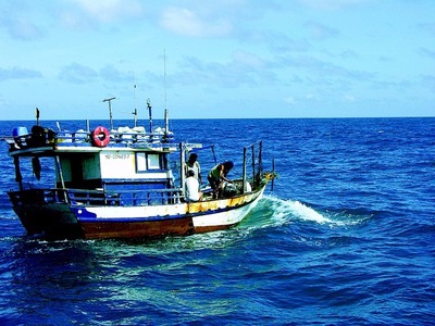 Pesca profissional é regularizada em todo o Brasil Pesca profissional é regularizada em todo o Brasil