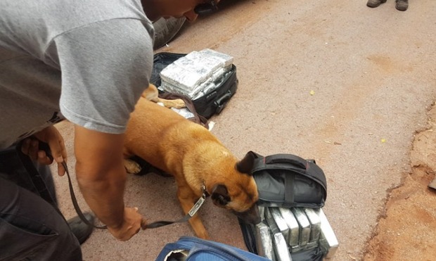 Tráfico internacional: motorista e passageiros são presos com 55 quilos de cocaína Divulgação/PF de Corumbá