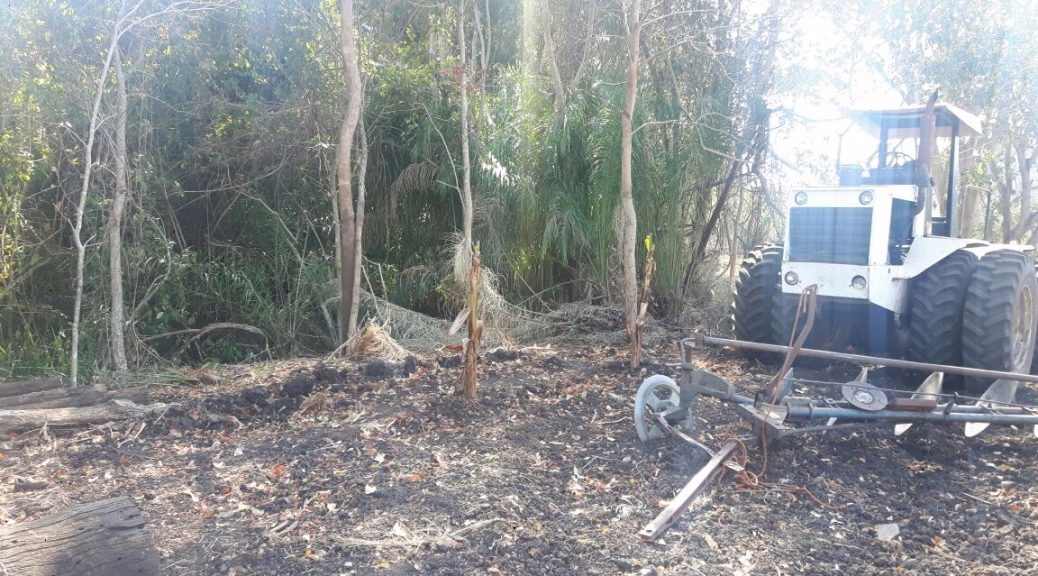 Área desmatada ilegalmente em Sidrolândia, MS (Foto: PMA/Divulgação)