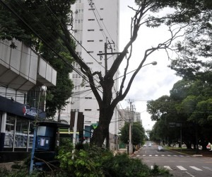 Poda é para preservar rede elétrica de energia - Valdenir Rezende 