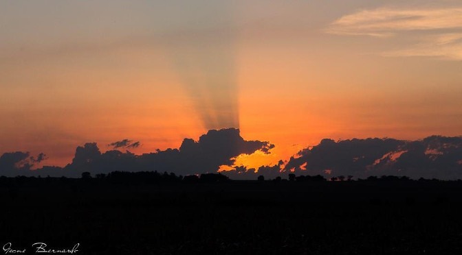 Fim de semana terá calor de 39°C e possibilidade de chuva forte em algumas regiões Geone Bernardo