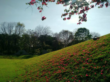 Céu aberto em Campo Grande com temperaturas altas (Foto: Adriel Mattos/ G1MS)