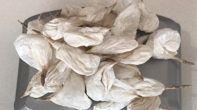 Polícia Militar encontra 35 porções de cocaína escondidas em um bar Divulgação