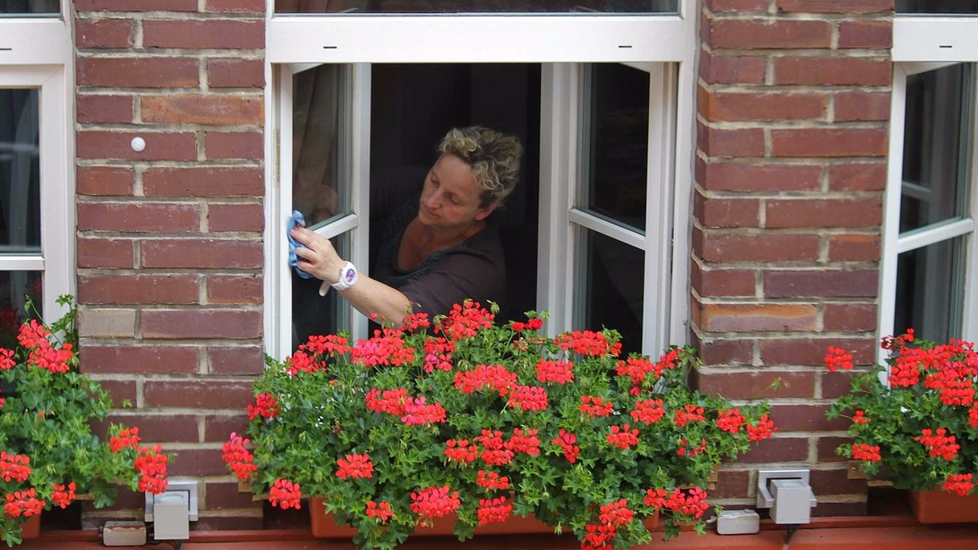 Empregados domésticos podem ficar fora da reforma trabalhista; entenda PixaBay