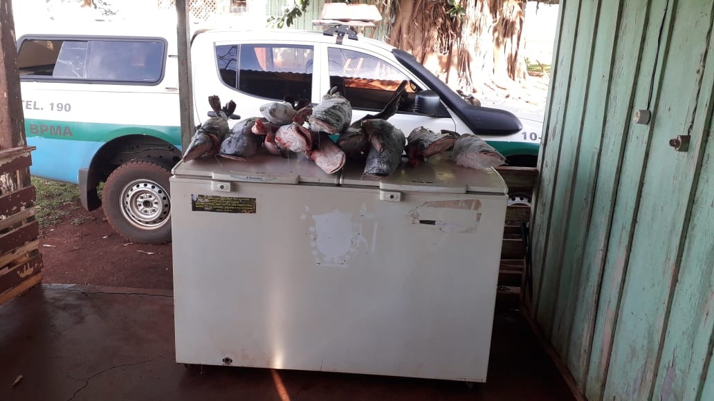 Administrador de fazenda é autuado por pesca durante a piracema Administrador de fazenda é autuado por pesca durante a piracema