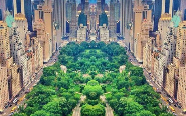 Filmes, história e mais: 6 parques urbanos pelo mundo que merecem uma visita Pinterest
Central Park está entre os parques urbanos mais famosos do mundo.
