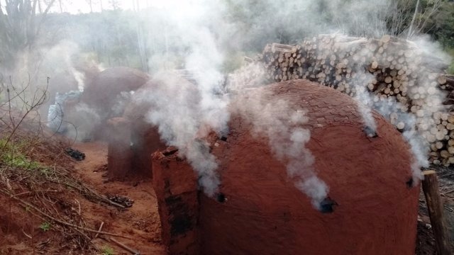 PMA fecha carvoaria ilegal e aplica multa de R$ 3,5 mil ao proprietário Foto: Divulgação/PMA
