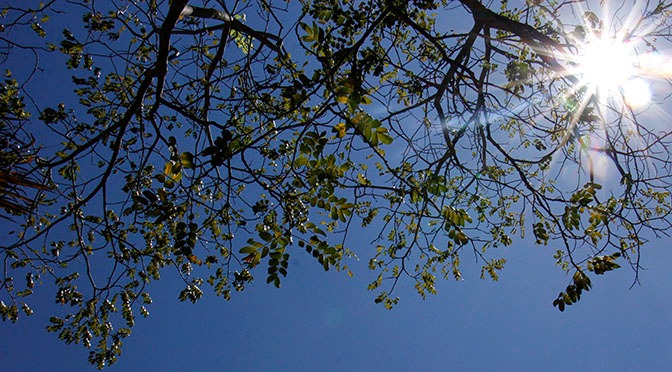 Temperaturas sobem e umidade do ar fica baixa no fim de semana