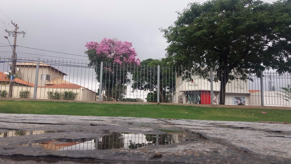 Chuva refrescou Campo Grande neste domingo que ficou nublado (Foto: Juliene Katayama)