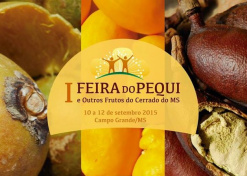 Armazém Cultural sedia I Feira do Pequi e outros frutos do Cerrado