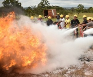 Municípios podem ganhar permissão para organizar brigadas voluntárias Grupo faz treinamento para integrar brigada voluntária - Divulgação