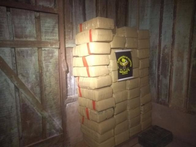 Traficantes abandonam quase uma tonelada de maconha em chácara no interior Divulgação