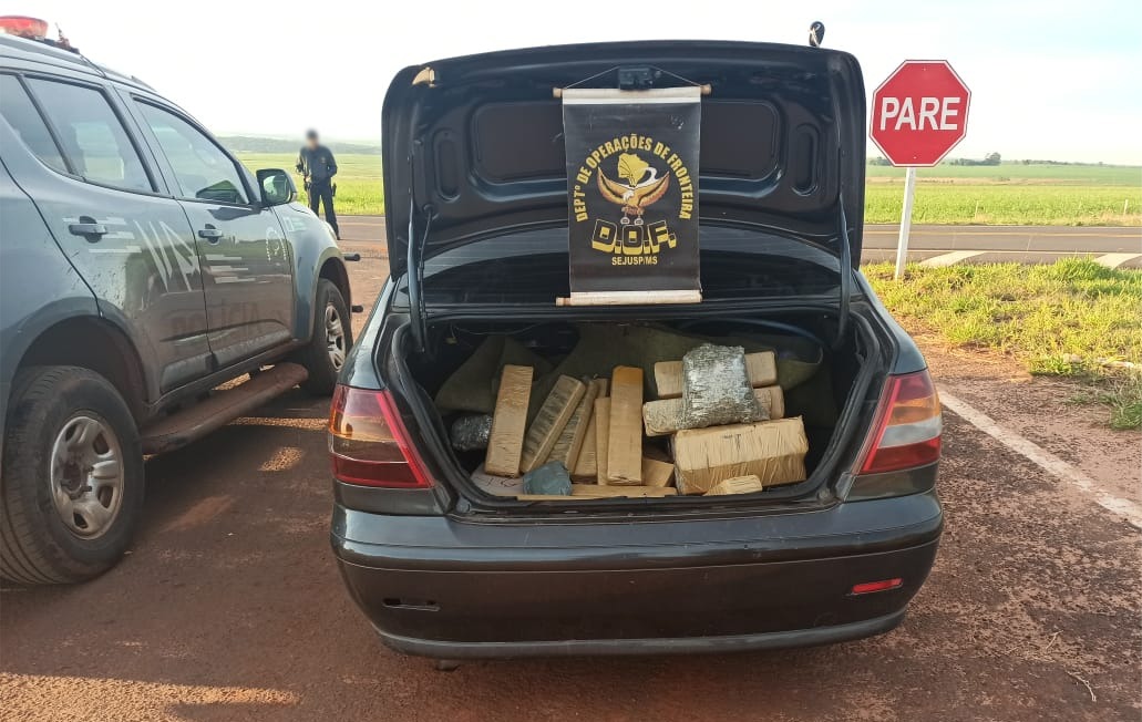 Casal que transportava maconha para Minas Gerais é preso pelo DOF