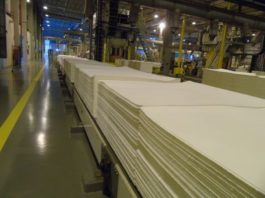 MPT faz vistoria em fábrica de celulose para averiguar condições laborais MPT-MS