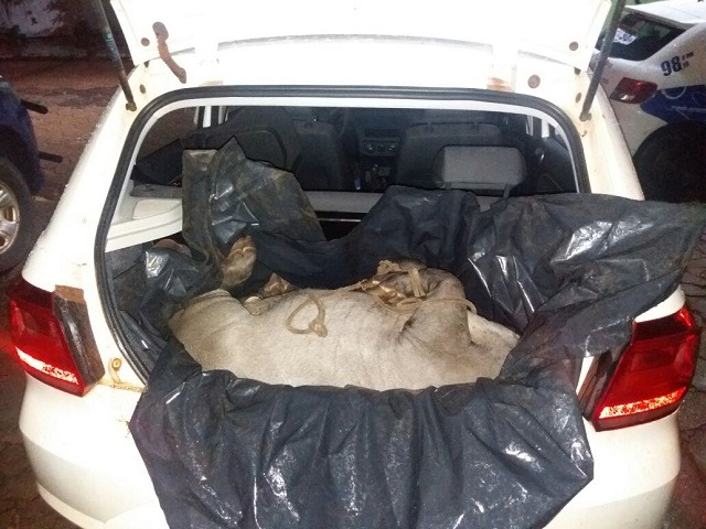 PM prende dupla com espingarda e anta abatida