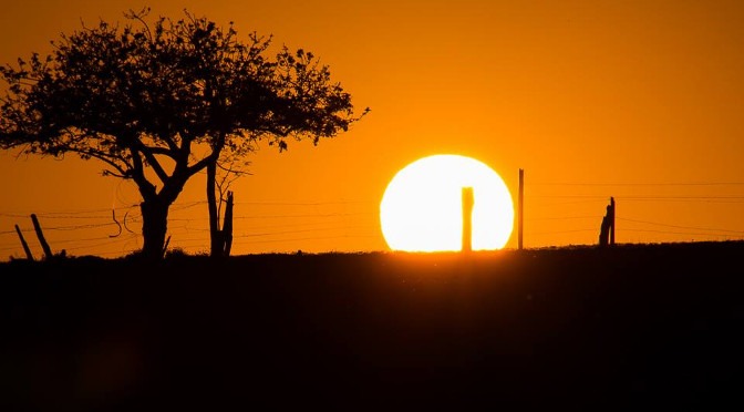 Domingo de tempo firme e máxima de 34°C em MS