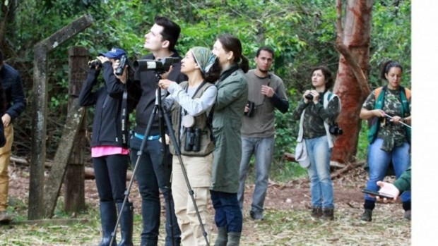 13ª edição Avistar Campo Grande começa nesta sexta-feira Campo Grande, hoje conhecida como a Capital da Observação de Aves, começou com nove pontos de observação e depois aumentou para 12 Divulgação