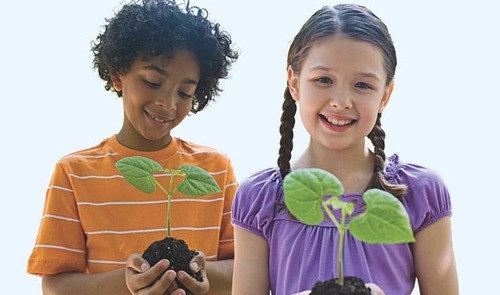 Câmara realiza Participativa para debater Políticas Municipais do Meio Ambiente