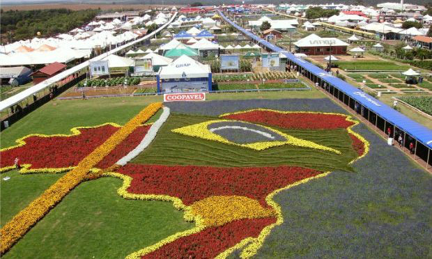 Foto: Chico Ribeiro e divulgação