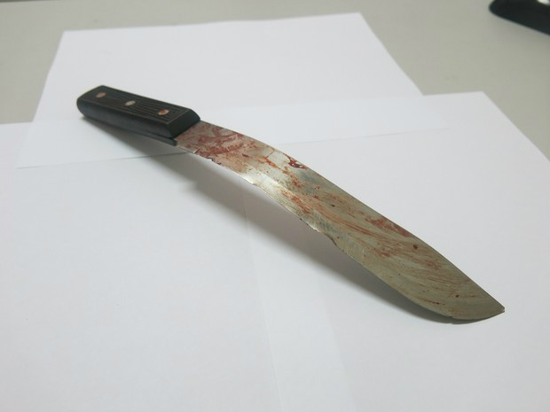 Presa após atacar a mãe debocha ao saber número de facadas: 'Só nove?' Faca usada na ação foi encontrada na casa onde moram mãe e filha (Foto: Jéssica Bitencourt / G1)