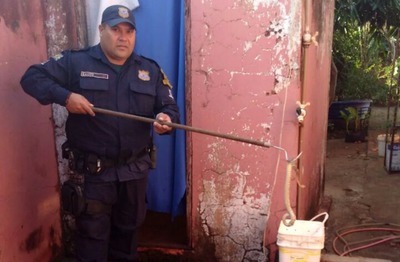 Patrulheiro ambiental retirou a jararaca que estava escondida na bomba de água da casa (Foto: Guarda Municipal/Divulgação)
