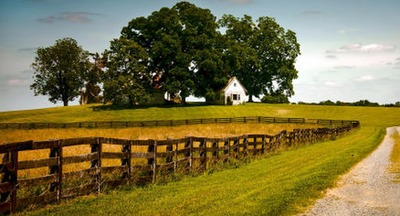 Programa de renegociação de dívidas rurais é publicado no DOU