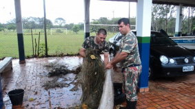 PMA apreende 10 redes no rio Pardo e solta 9 kg de peixes vivos