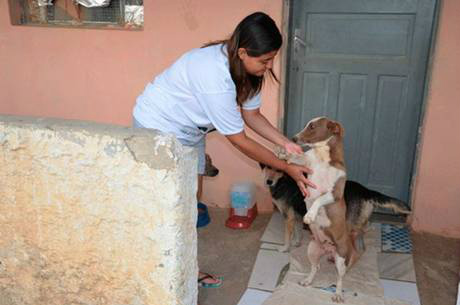 Protetora de animais denuncia estupro de cadelas em Vitória da Conquista Após denúncias, protetora conseguiu resgatar duas cadelas que foram vítimas de abuso
Blog do Anderson