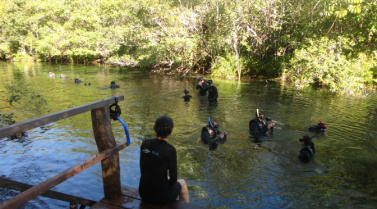 Em alta: turismo doméstico em Mato Grosso do Sul é beneficiado com a alta do dólar