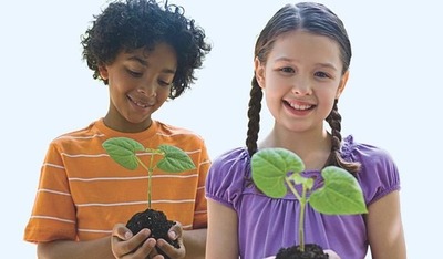 Centro de educação ambiental imbirussú recebe evento que debaterá políticas municipais do meio ambiente Centro de educação ambiental imbirussú recebe evento que debaterá políticas municipais do meio ambiente