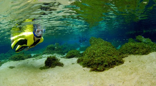 Rio da Prata é um dos principais pontos turísticos de Mato Grosso do Sul
